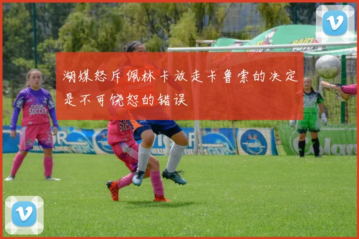 湖媒怒斥佩林卡放走卡鲁索的决定是不可饶恕的错误
