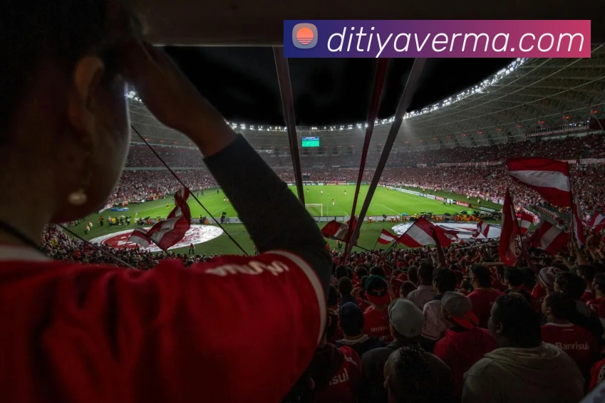 互动解说服务